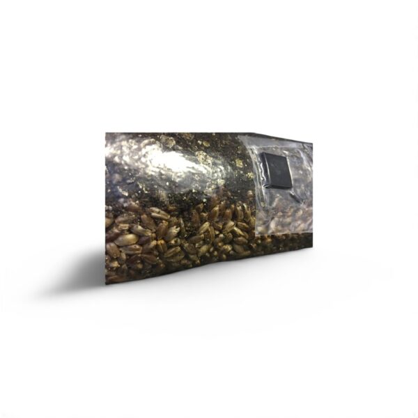 Dung Mushroom Growing Kit