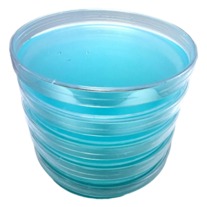 Agar Plates pre-poured Agar plates