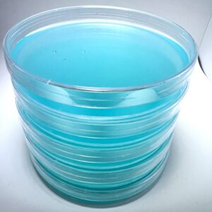 Agar agar plates LME