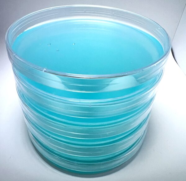 Agar agar plates LME