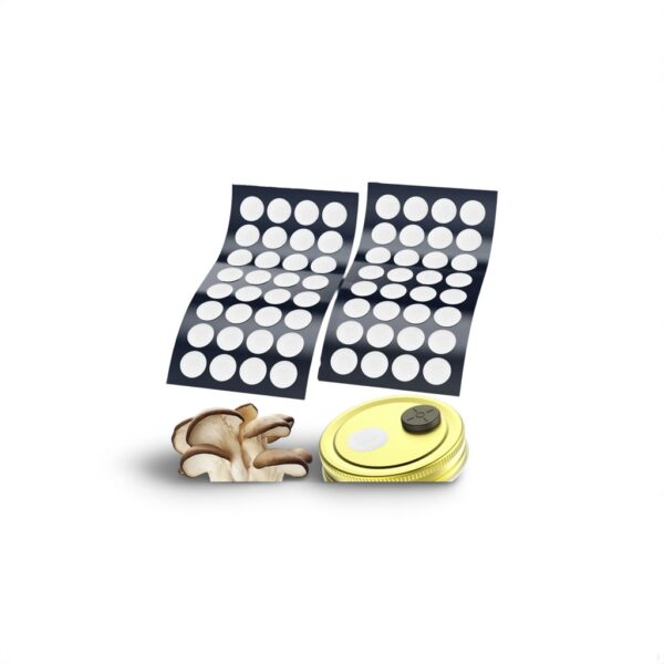 Mycology Synthetic Filter discs - Pack of 64