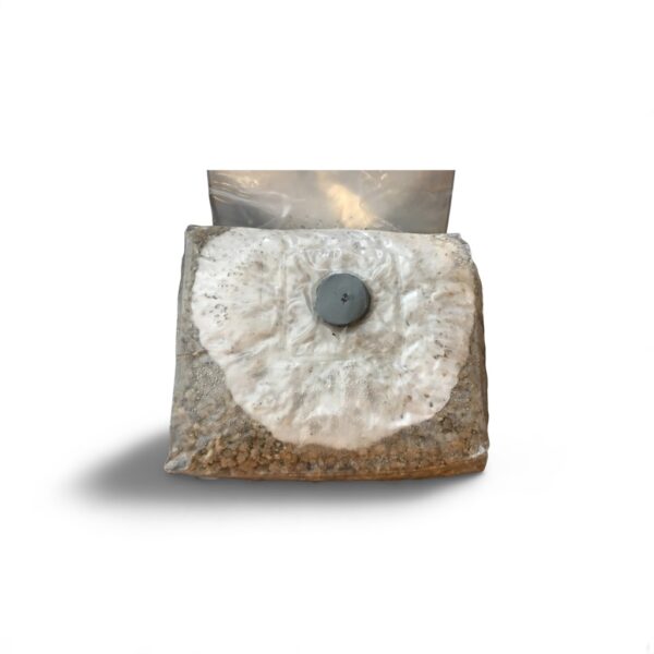Pf Tek BRF Bag