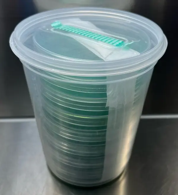 LME Agar Plates