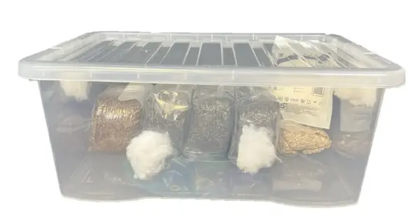 A Monotub mushroom grow bin with a clear plastic design, pre-drilled air exchange holes, and polyfill ventilation. The setup includes sterilized substrate, grain spawn, and other essential mushroom cultivation supplies.