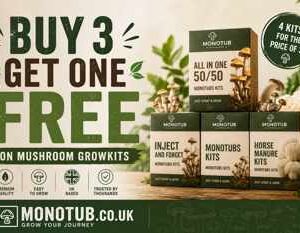 Mushroom Grow Kit Pftek Dutch Style – Buy 3 Get 1 Free Bundle