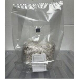 Mushroom Fruiting Bag – Humidity Tent Bag
