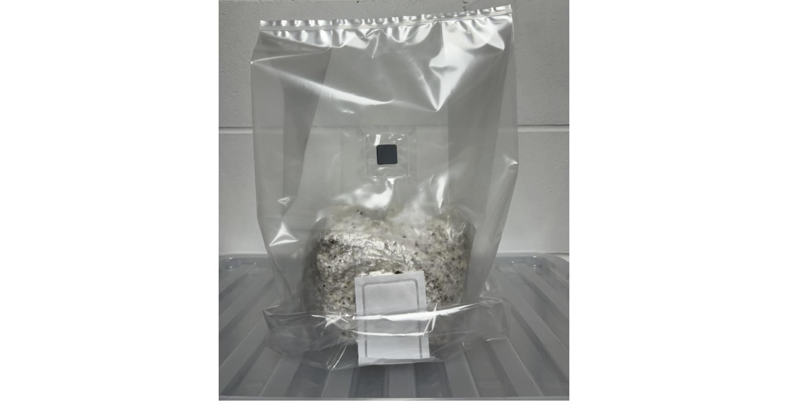 Mushroom Fruiting Bag – Humidity Tent Bag