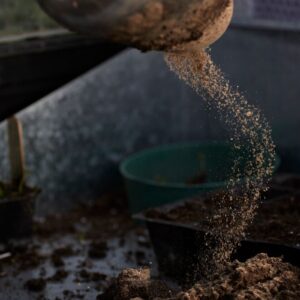 Vermiculite for Mushrooms